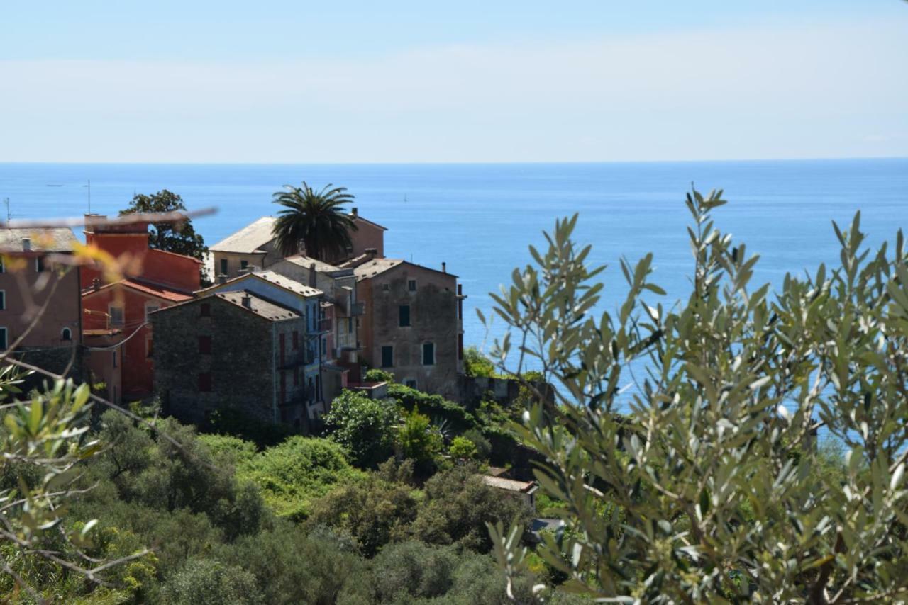 Corner Of Paradise Near Cinque Terre Framura Exterior photo